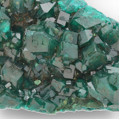 Dioptase Crystal Cluster on Matrix – Congo Mineral Specimen