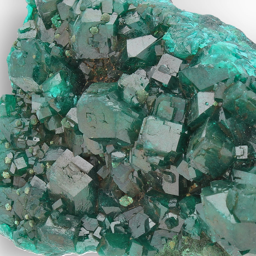 Dioptase Crystal Cluster on Matrix – Congo Mineral Specimen