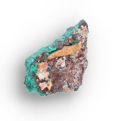 Dioptase Crystal Cluster on Matrix – Congo Mineral Specimen