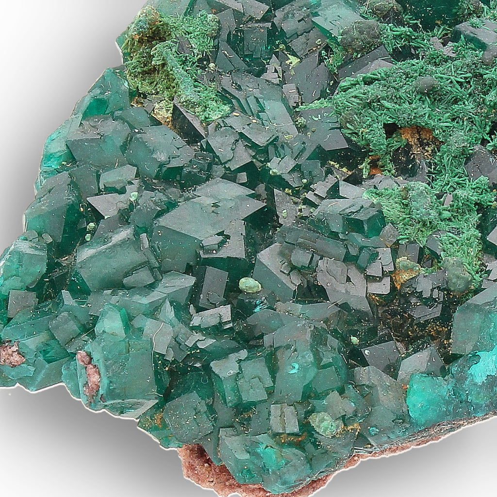 Kimbedi Dioptase Crystal Plate with Malachite & Plancheite