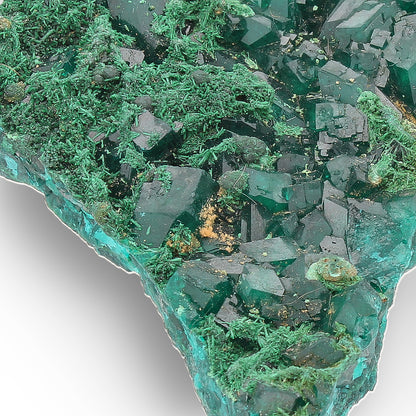 Kimbedi Dioptase Crystal Plate with Malachite & Plancheite