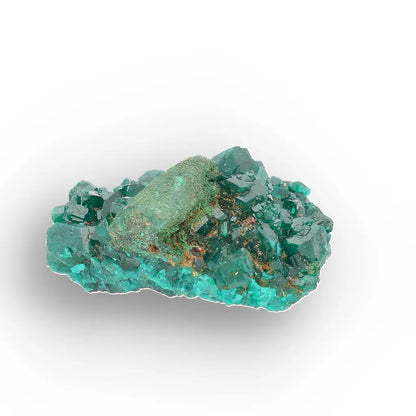 Dioptase with Malachite from Congo Crystal Specimen