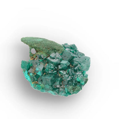 Dioptase with Malachite from Congo Crystal Specimen