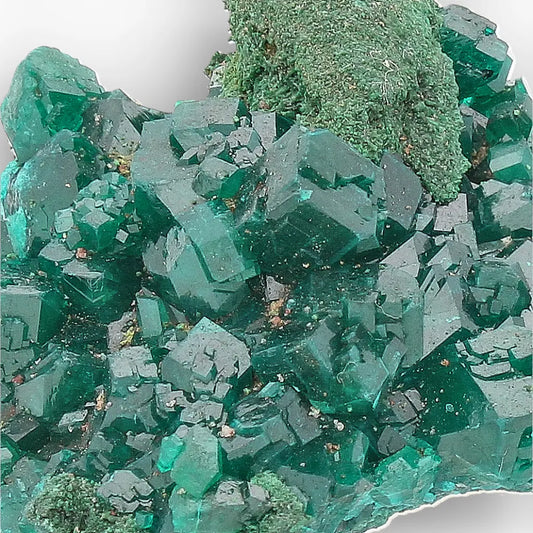 Dioptase with Malachite from Congo Crystal Specimen