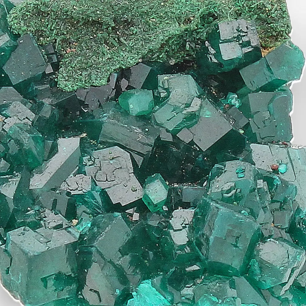 Dioptase with Malachite from Congo Crystal Specimen