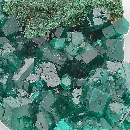Dioptase with Malachite from Congo Crystal Specimen