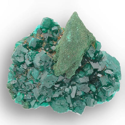 Dioptase with Malachite from Congo Crystal Specimen