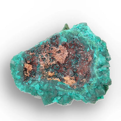 Dioptase with Malachite from Congo Crystal Specimen