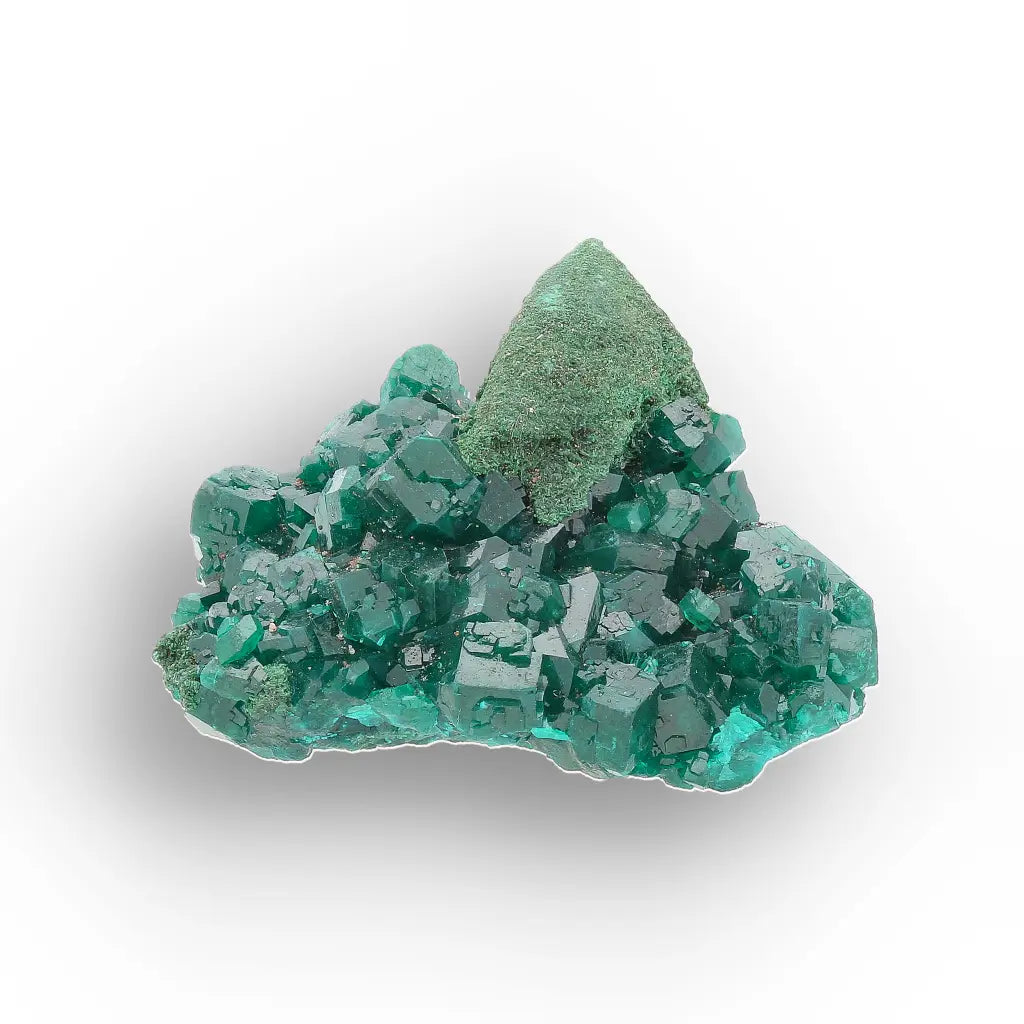 Dioptase with Malachite from Congo Crystal Specimen
