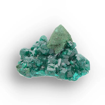 Dioptase with Malachite from Congo Crystal Specimen