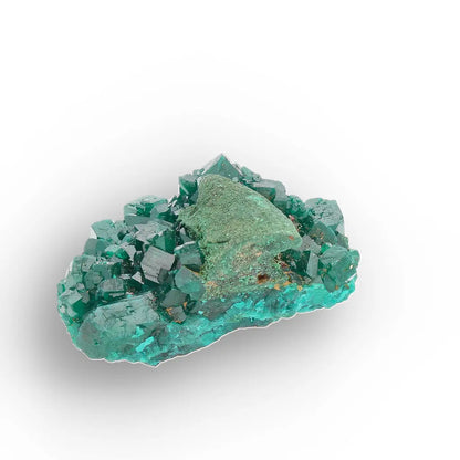 Dioptase with Malachite from Congo Crystal Specimen