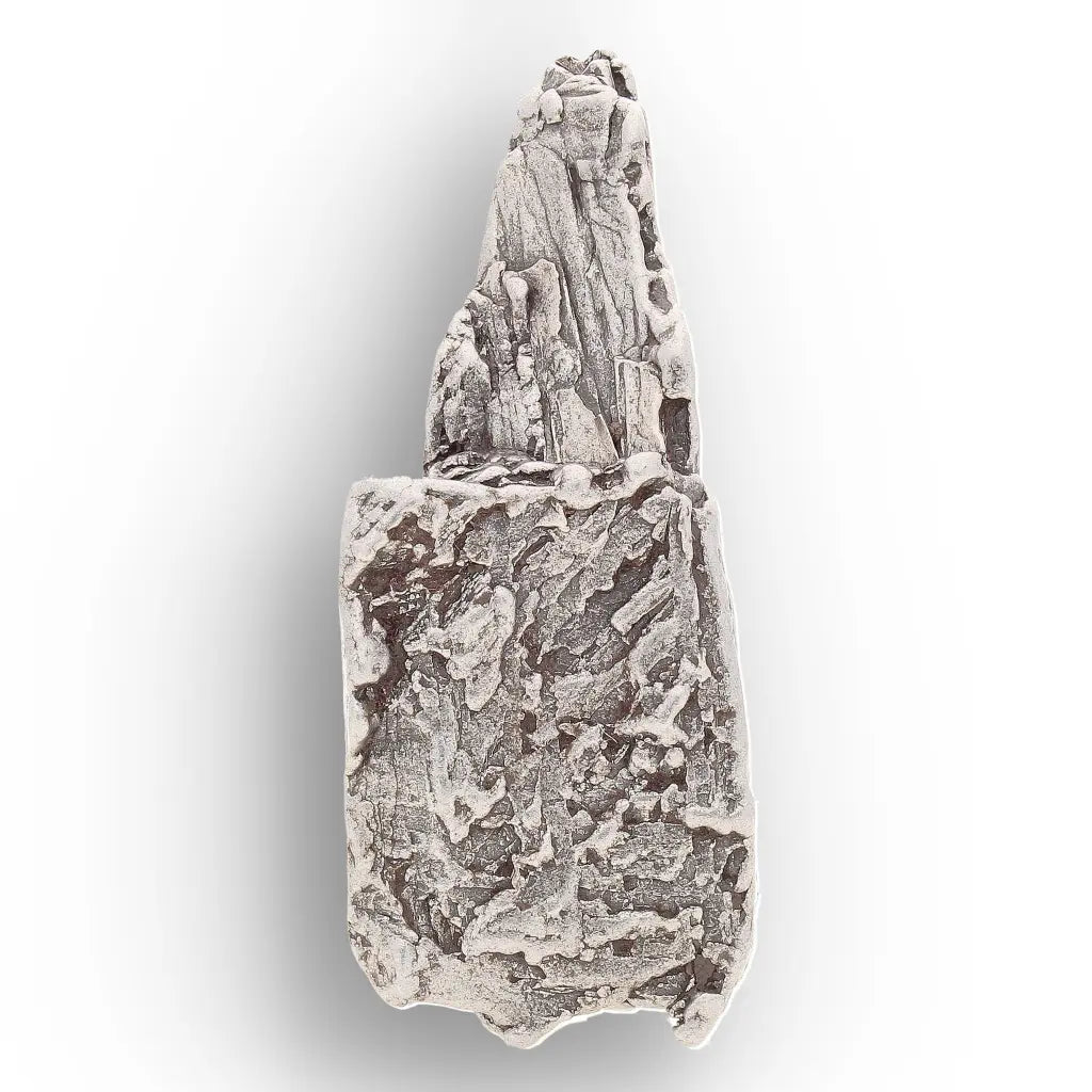 Get your Aletai Meteorite – Rare Anomalous IIIE Iron Meteorite Piece online now or in store at Forever Gems in Franschhoek, South Africa