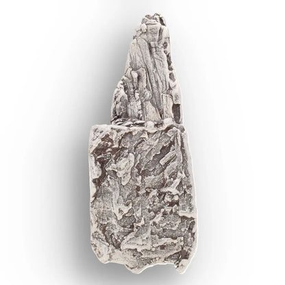 Get your Aletai Meteorite – Rare Anomalous IIIE Iron Meteorite Piece online now or in store at Forever Gems in Franschhoek, South Africa