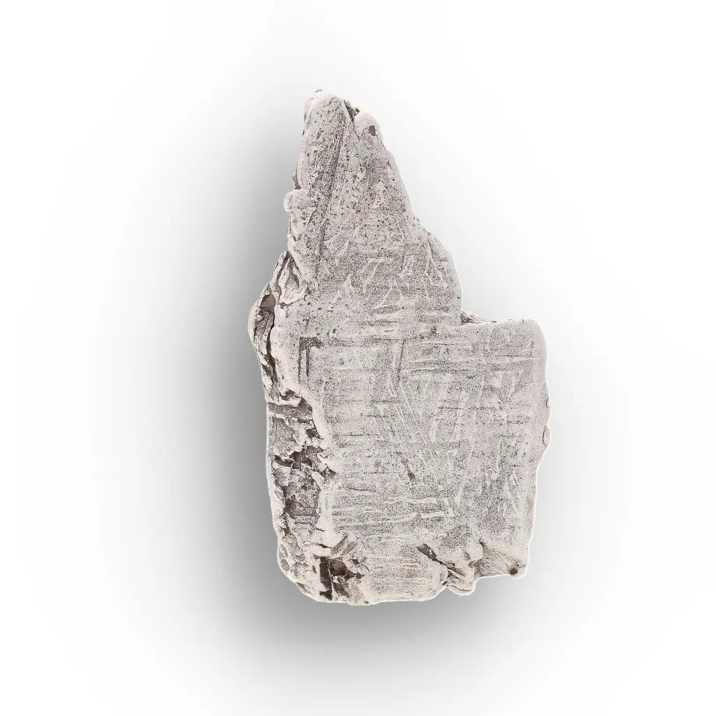 Get your Aletai Meteorite – Rare Anomalous IIIE Iron Meteorite Piece online now or in store at Forever Gems in Franschhoek, South Africa