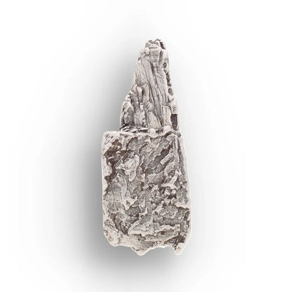 Get your Aletai Meteorite – Rare Anomalous IIIE Iron Meteorite Piece online now or in store at Forever Gems in Franschhoek, South Africa