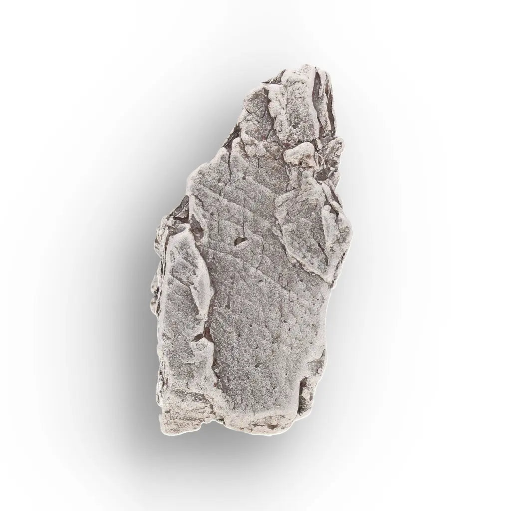 Get your Aletai Meteorite – Rare Anomalous IIIE Iron Meteorite Piece online now or in store at Forever Gems in Franschhoek, South Africa