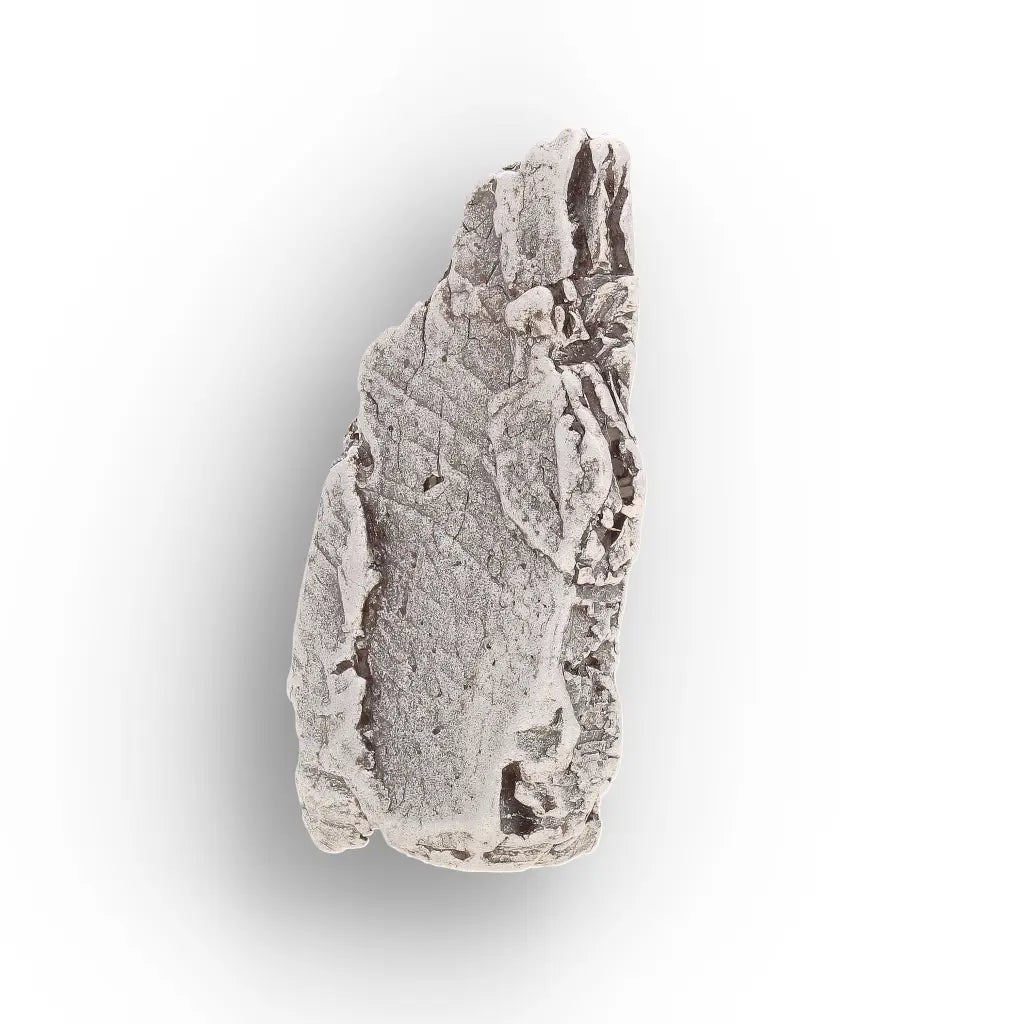 Get your Aletai Meteorite – Rare Anomalous IIIE Iron Meteorite Piece online now or in store at Forever Gems in Franschhoek, South Africa