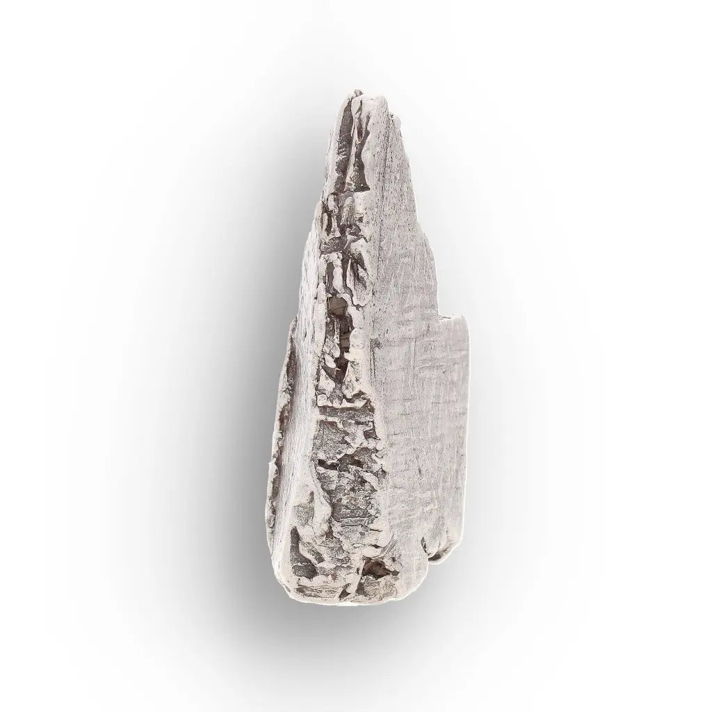 Get your Aletai Meteorite – Rare Anomalous IIIE Iron Meteorite Piece online now or in store at Forever Gems in Franschhoek, South Africa