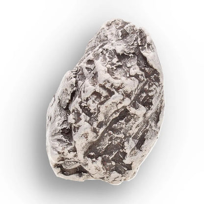 Aletai Meteorite – Rare Anomalous IIIE Iron Meteorite Piece