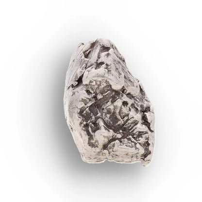 Aletai Meteorite – Rare Anomalous IIIE Iron Meteorite Piece
