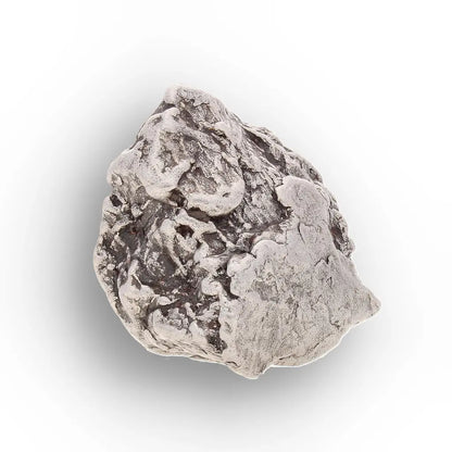 Aletai Meteorite – Rare Anomalous IIIE Iron Meteorite Piece