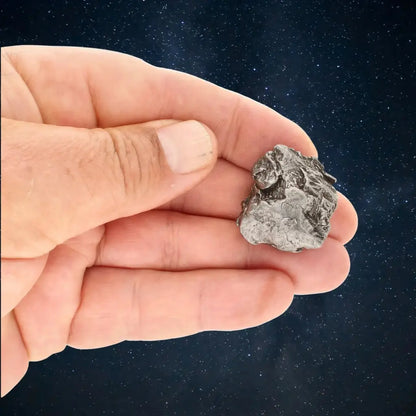 Aletai Meteorite – Rare Anomalous IIIE Iron Meteorite Piece