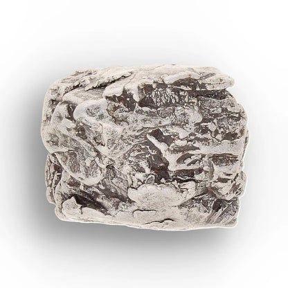 Aletai Meteorite – Rare Anomalous IIIE Iron Meteorite Piece