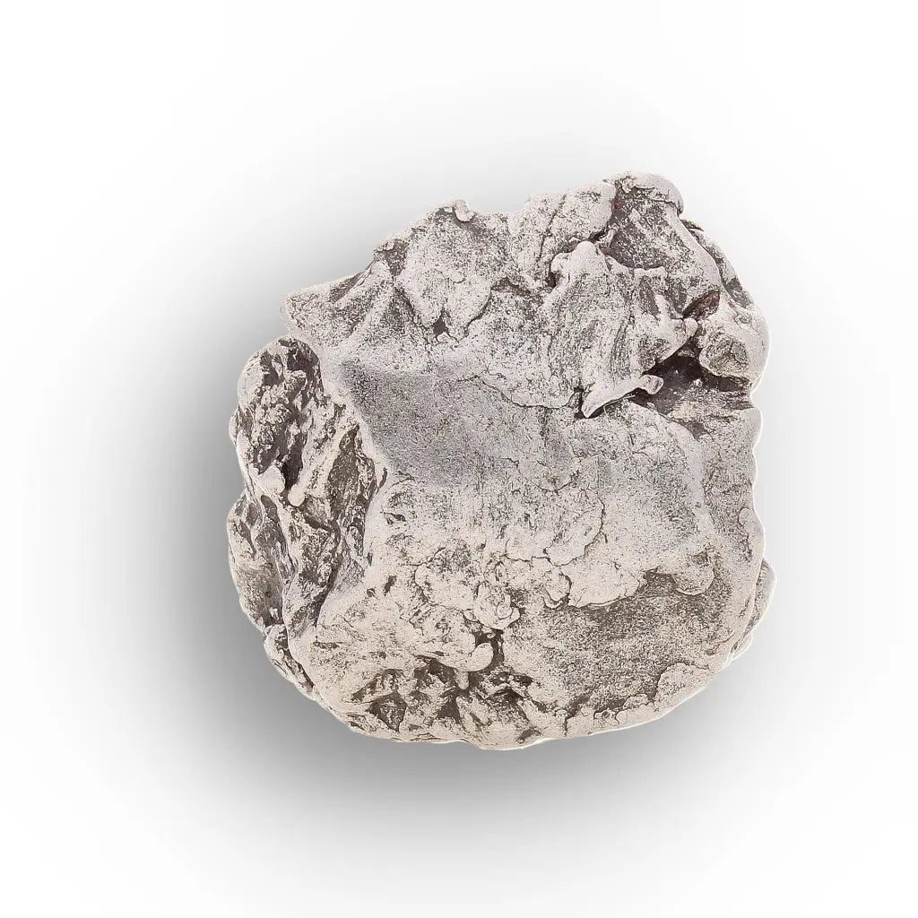 Aletai Meteorite – Rare Anomalous IIIE Iron Meteorite Piece