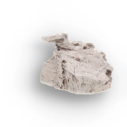 Get your Aletai Meteorite – Anomalous IIIE Iron with Natural Relief online now or in store at Forever Gems in Franschhoek, South Africa
