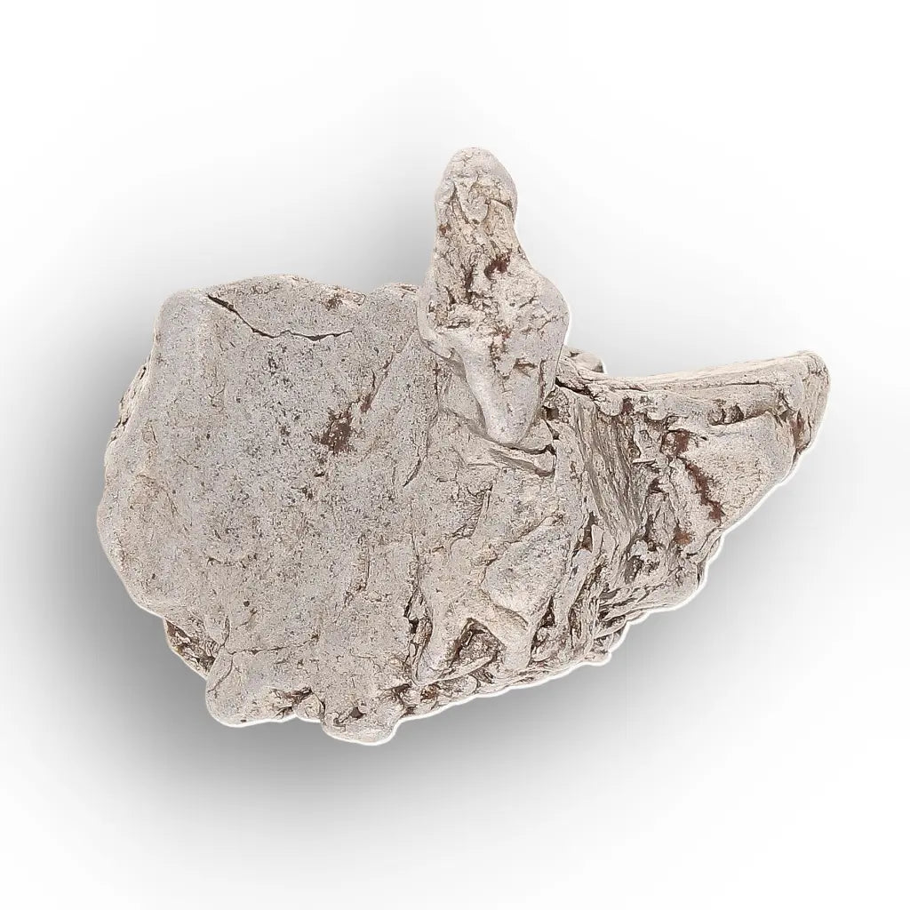 Get your Aletai Meteorite – Anomalous IIIE Iron with Natural Relief online now or in store at Forever Gems in Franschhoek, South Africa
