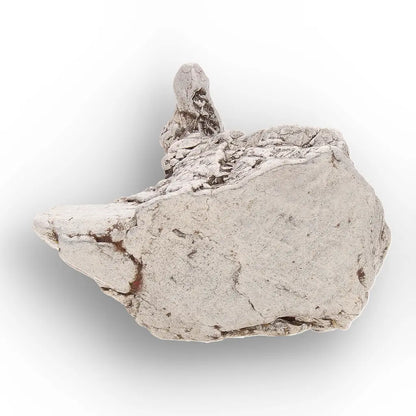 Get your Aletai Meteorite – Anomalous IIIE Iron with Natural Relief online now or in store at Forever Gems in Franschhoek, South Africa