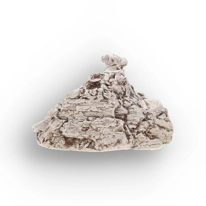 Get your Aletai Meteorite – Anomalous IIIE Iron with Natural Relief online now or in store at Forever Gems in Franschhoek, South Africa