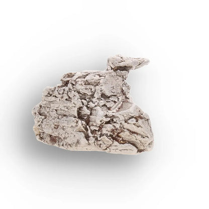 Get your Aletai Meteorite – Anomalous IIIE Iron with Natural Relief online now or in store at Forever Gems in Franschhoek, South Africa