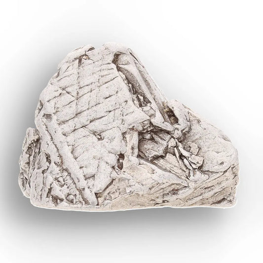 Get your Aletai Meteorite – Textured Anomalous IIIE Iron Specimen online now or in store at Forever Gems in Franschhoek, South Africa