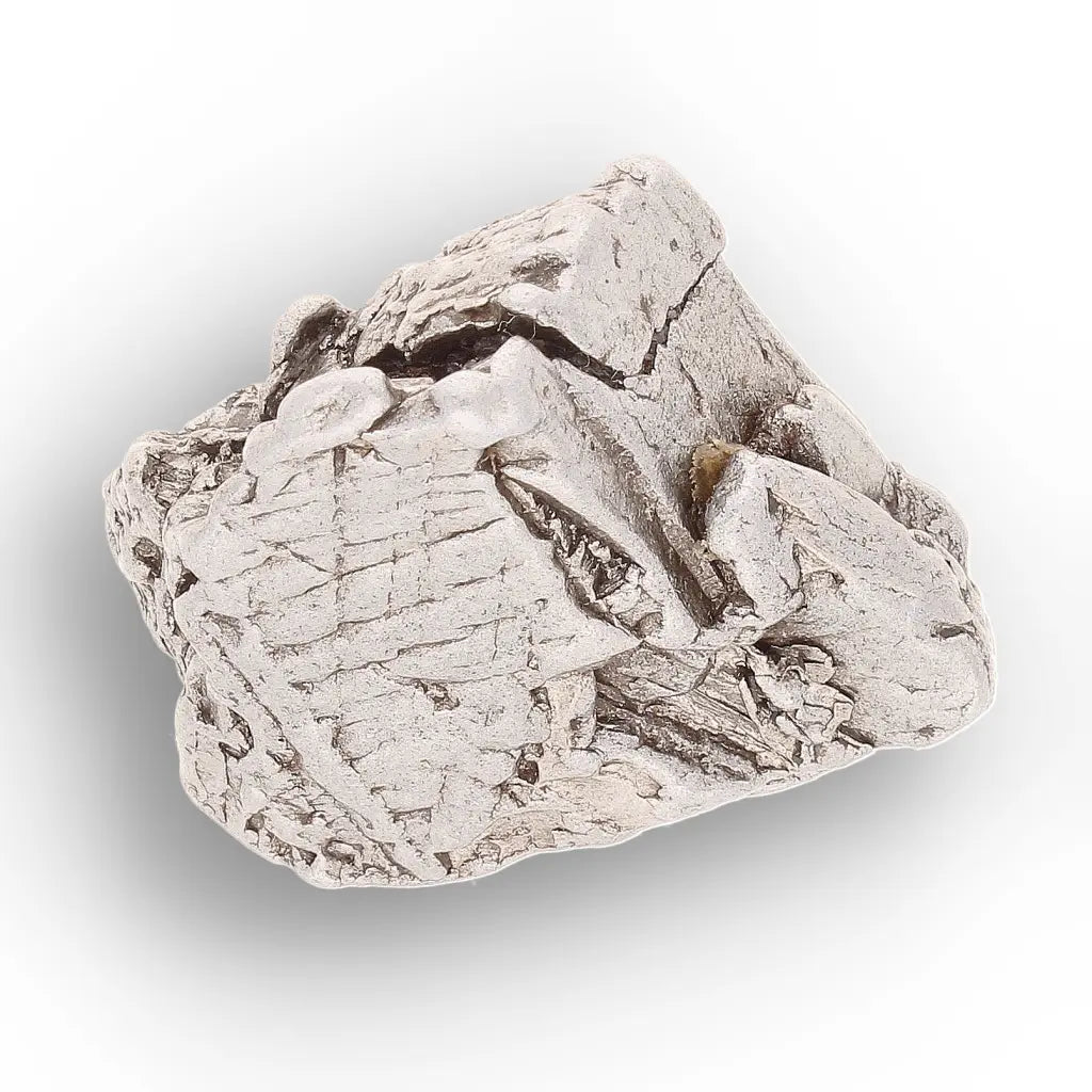 Get your Aletai Meteorite – Textured Anomalous IIIE Iron Specimen online now or in store at Forever Gems in Franschhoek, South Africa