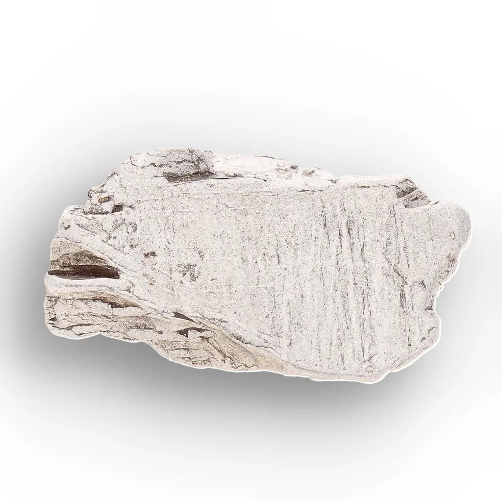 Get your Aletai Meteorite – Textured Anomalous IIIE Iron Specimen online now or in store at Forever Gems in Franschhoek, South Africa
