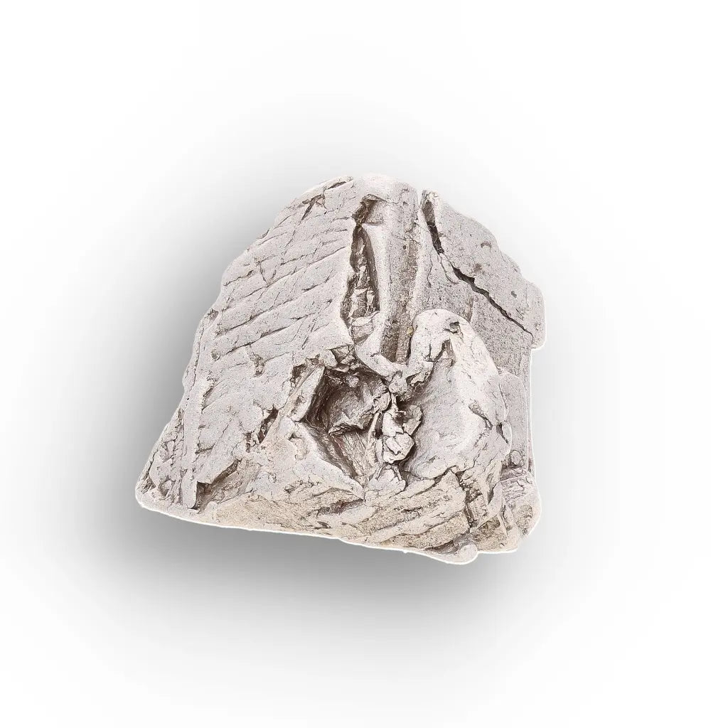 Get your Aletai Meteorite – Textured Anomalous IIIE Iron Specimen online now or in store at Forever Gems in Franschhoek, South Africa