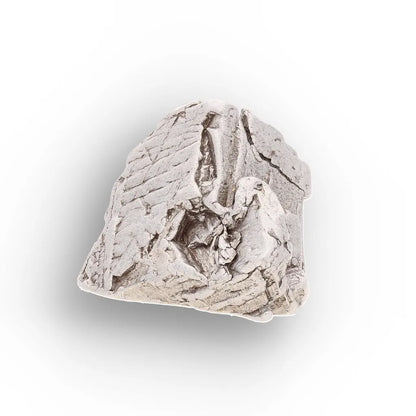 Get your Aletai Meteorite – Textured Anomalous IIIE Iron Specimen online now or in store at Forever Gems in Franschhoek, South Africa