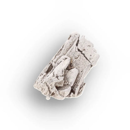 Get your Aletai Meteorite – Textured Anomalous IIIE Iron Specimen online now or in store at Forever Gems in Franschhoek, South Africa