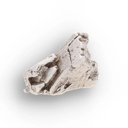 Get your Aletai Meteorite – Textured Anomalous IIIE Iron Specimen online now or in store at Forever Gems in Franschhoek, South Africa