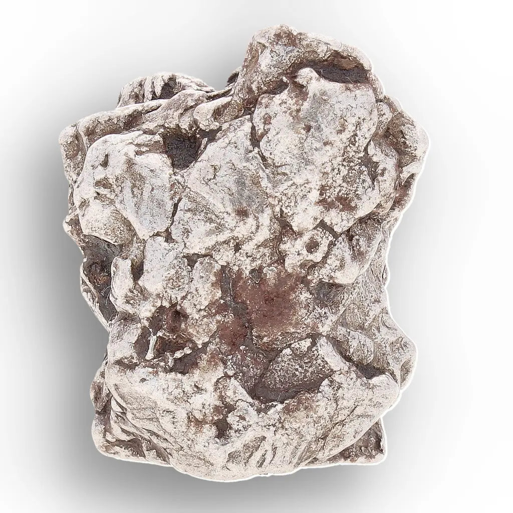 Aletai Meteorite – Sculptural Anomalous IIIE Iron Specimen