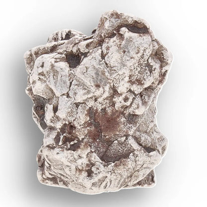 Aletai Meteorite – Sculptural Anomalous IIIE Iron Specimen
