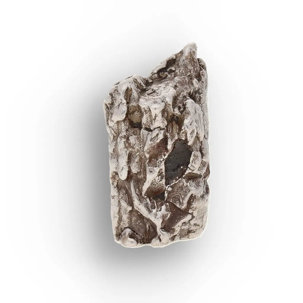 Aletai Meteorite – Sculptural Anomalous IIIE Iron Specimen