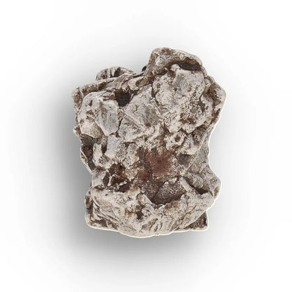 Aletai Meteorite – Sculptural Anomalous IIIE Iron Specimen