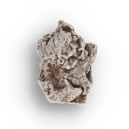 Aletai Meteorite – Sculptural Anomalous IIIE Iron Specimen