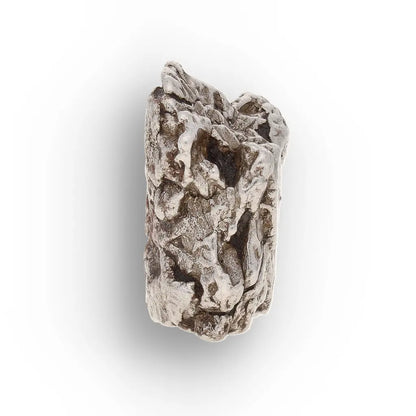 Aletai Meteorite – Sculptural Anomalous IIIE Iron Specimen