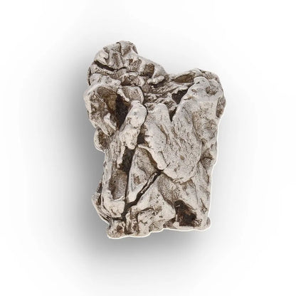 Aletai Meteorite – Sculptural Anomalous IIIE Iron Specimen