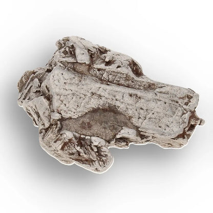 Aletai Meteorite – Elongated Anomalous IIIE Iron Specimen