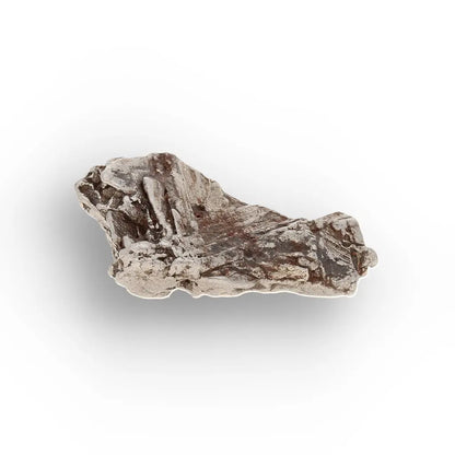Aletai Meteorite – Elongated Anomalous IIIE Iron Specimen