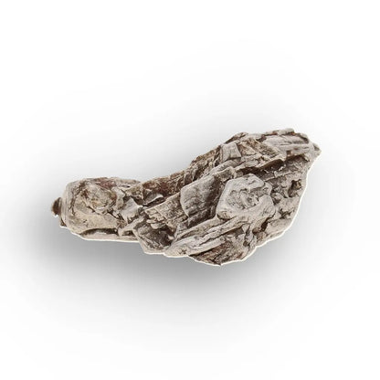 Aletai Meteorite – Elongated Anomalous IIIE Iron Specimen